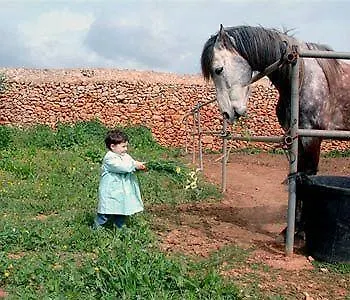 Sa Canova Campos  Spain