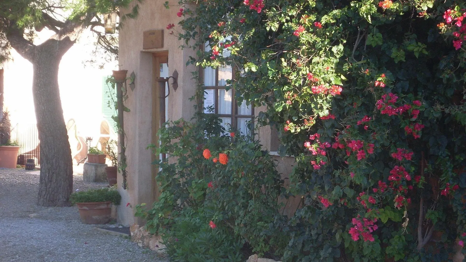 Sa Canova Campos  Farm stay Campos (Mallorca)